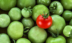 米線加盟行業(yè)深似海，如何在眾多米線品牌中脫穎而出？