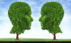 加盟十秒到過(guò)橋米線讓我的生活變得如此美好